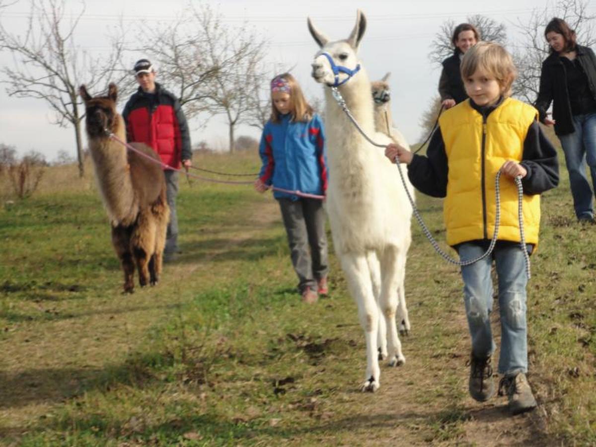 Ursenbacherhof Waibstadt Kültér fotó
